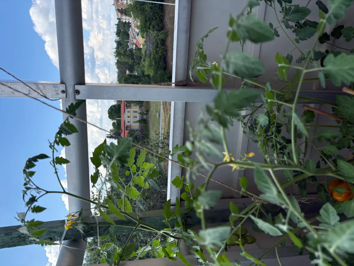 Hyreslägenhet på Huddinge i huddinge