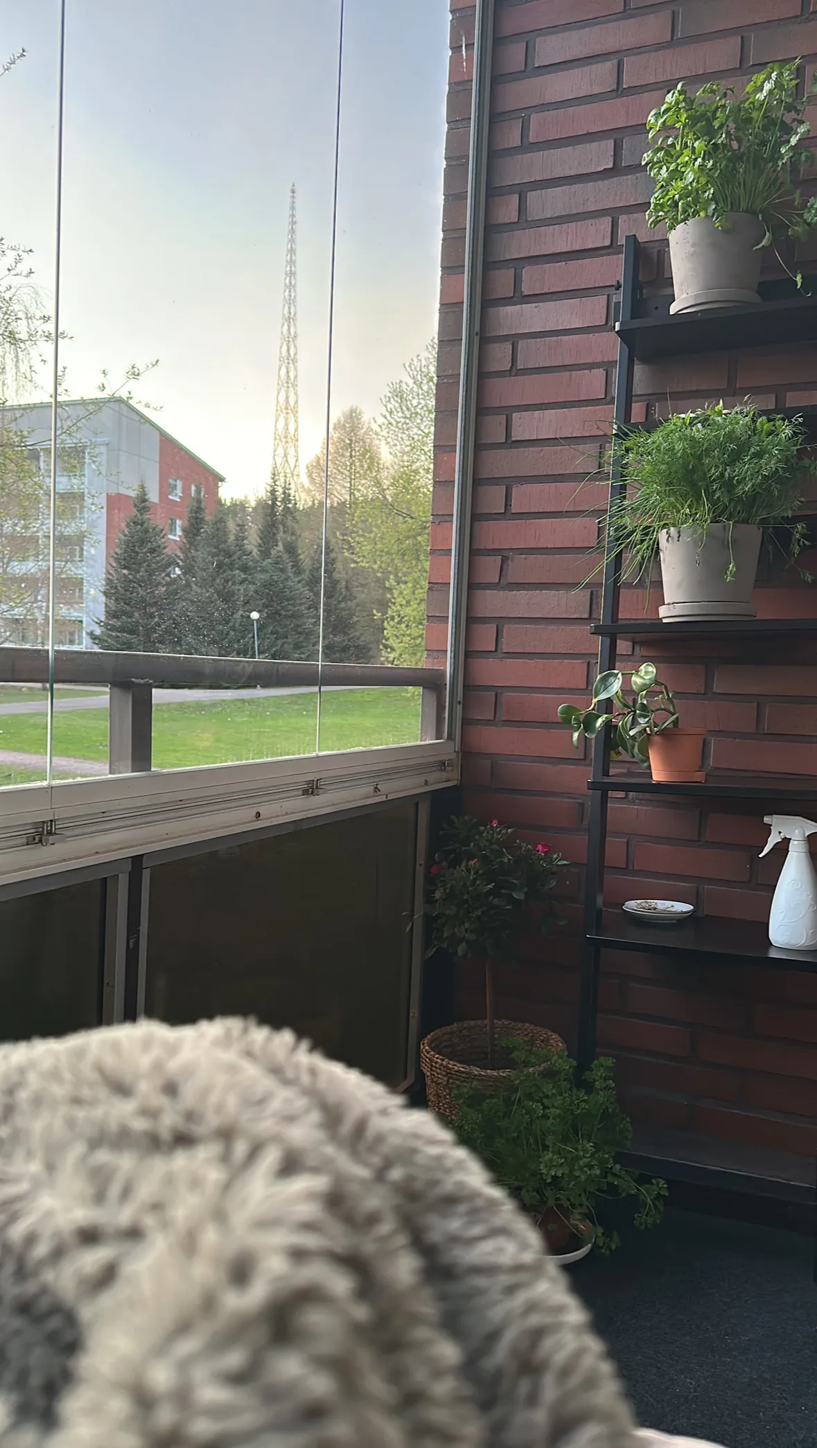 Hyreslägenhet på Lahti i lahti