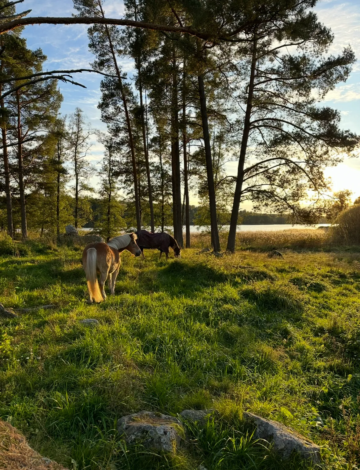 Hyresbostad på Strängnäs i strangnas