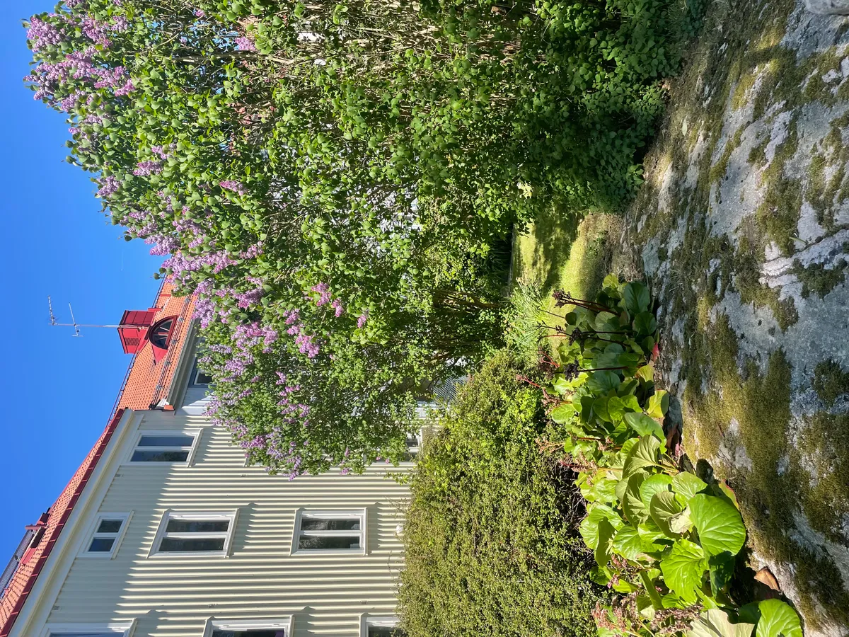 Hyreslägenhet på Göteborg i goteborg