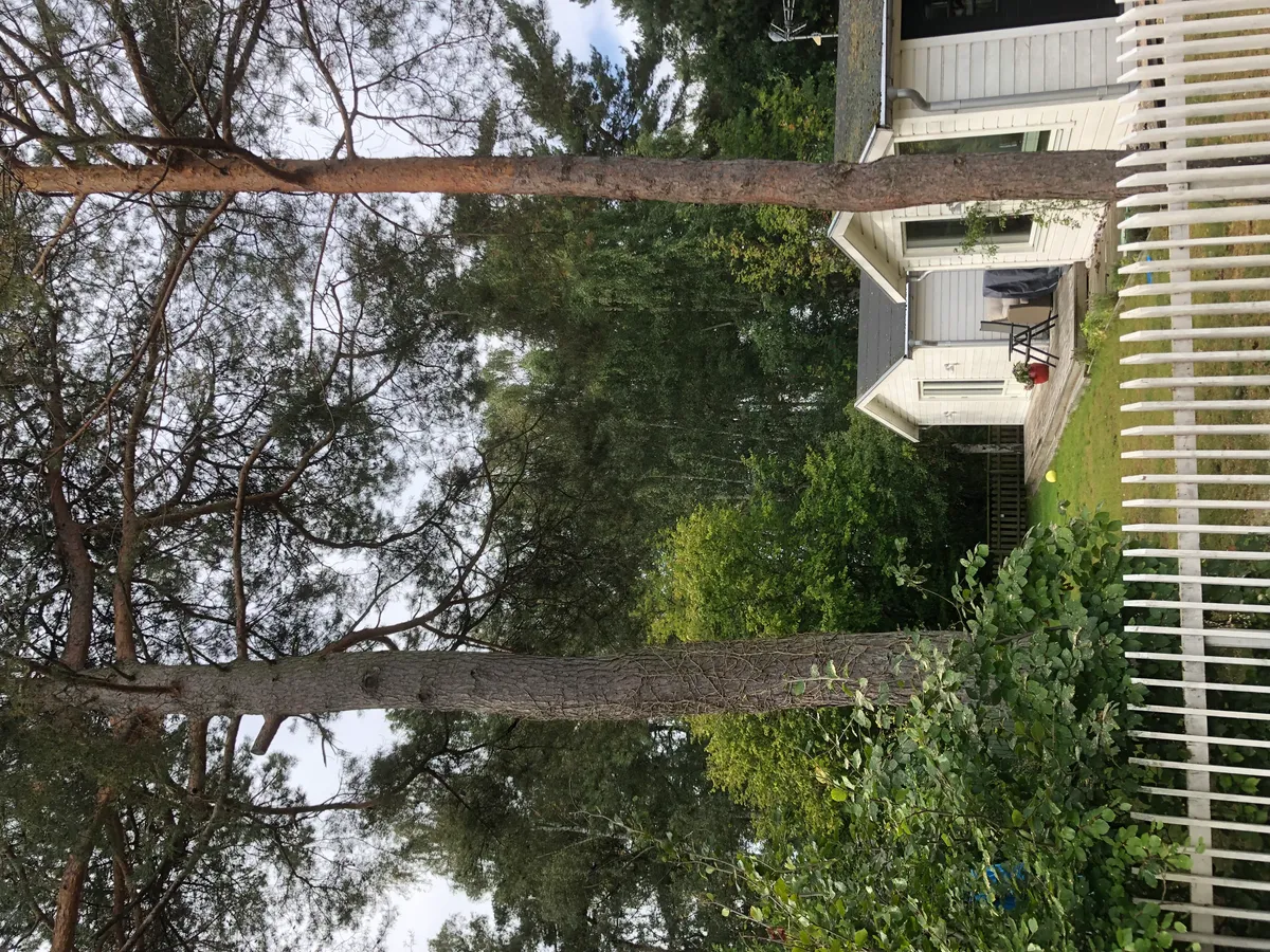 Hyresbostad på Höllviken i hollviken