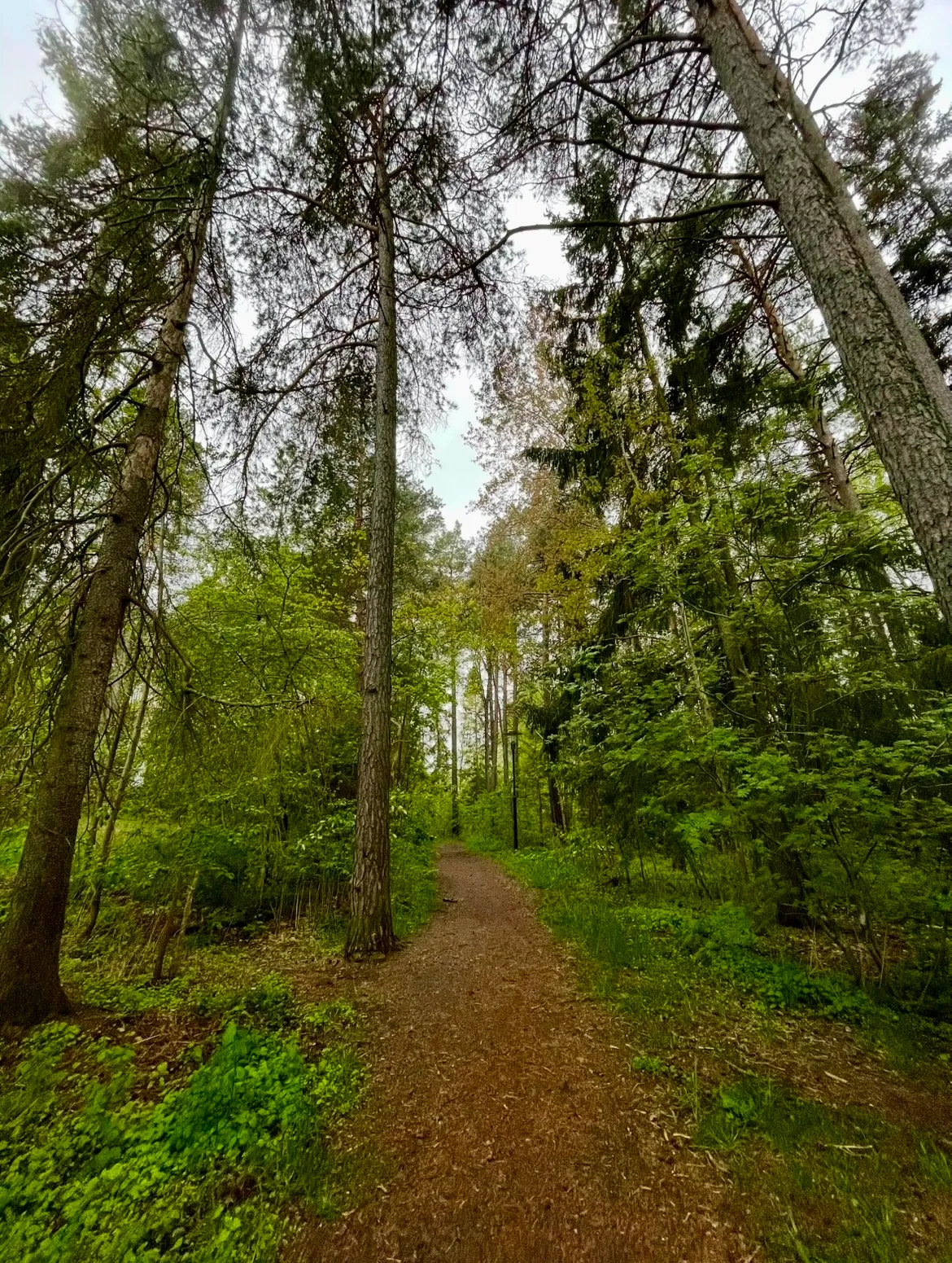 Hyreslägenhet på Täby i taby