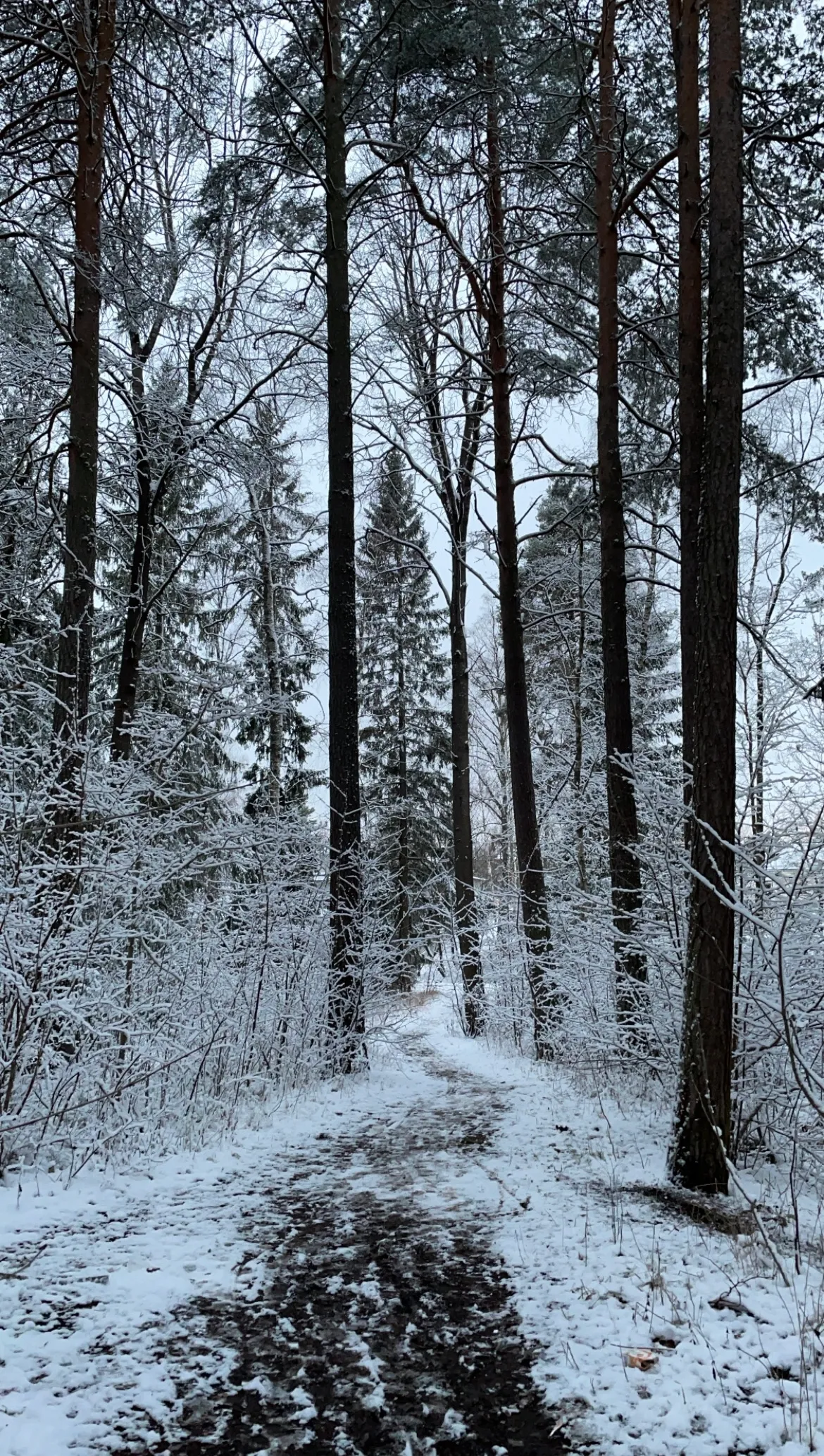Hyreslägenhet på Täby i taby