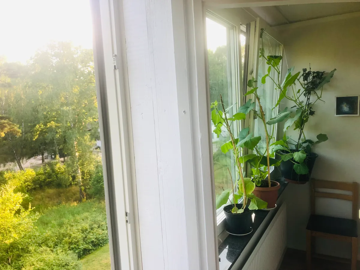 Hyreslägenhet på Farsta i farsta