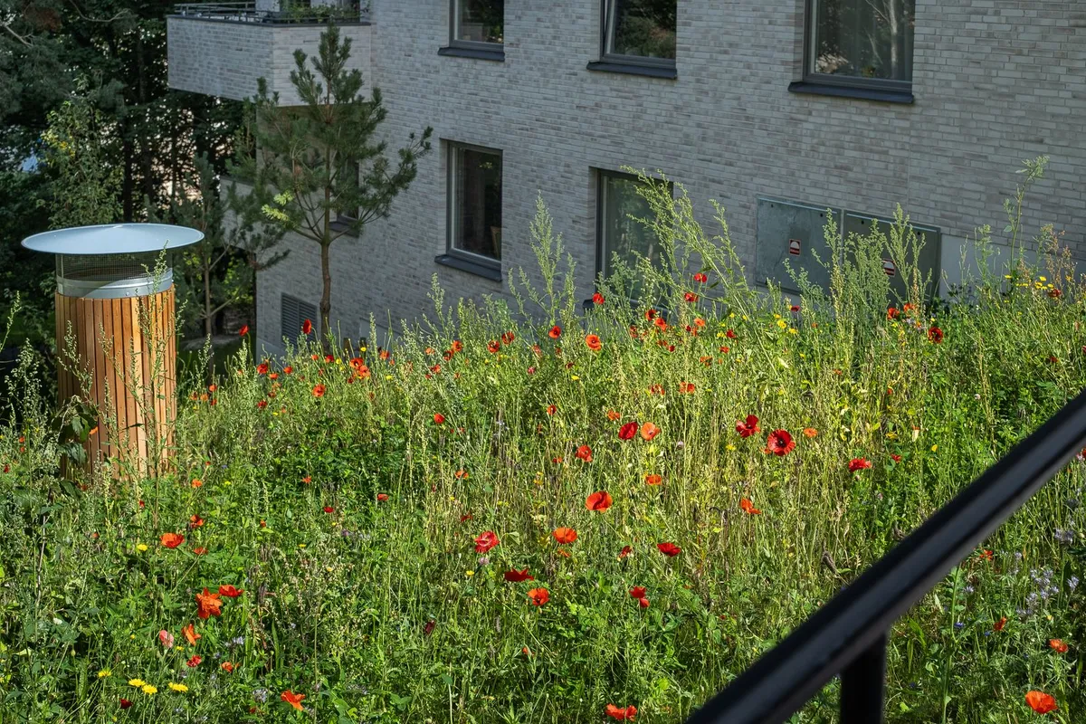 Hyreslägenhet på Johanneshov i johanneshov