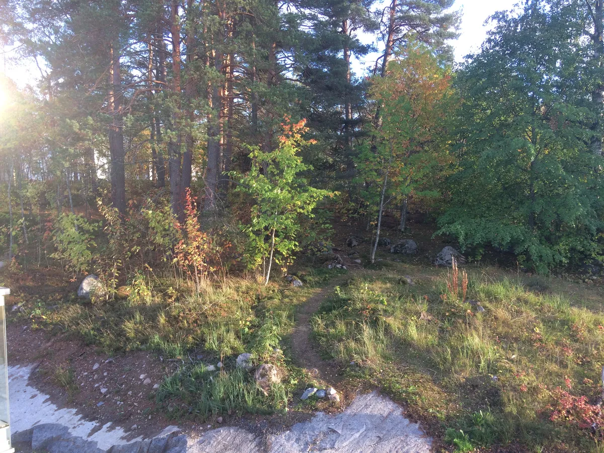 Hyreslägenhet på Jyväskylä i jyvaskyla
