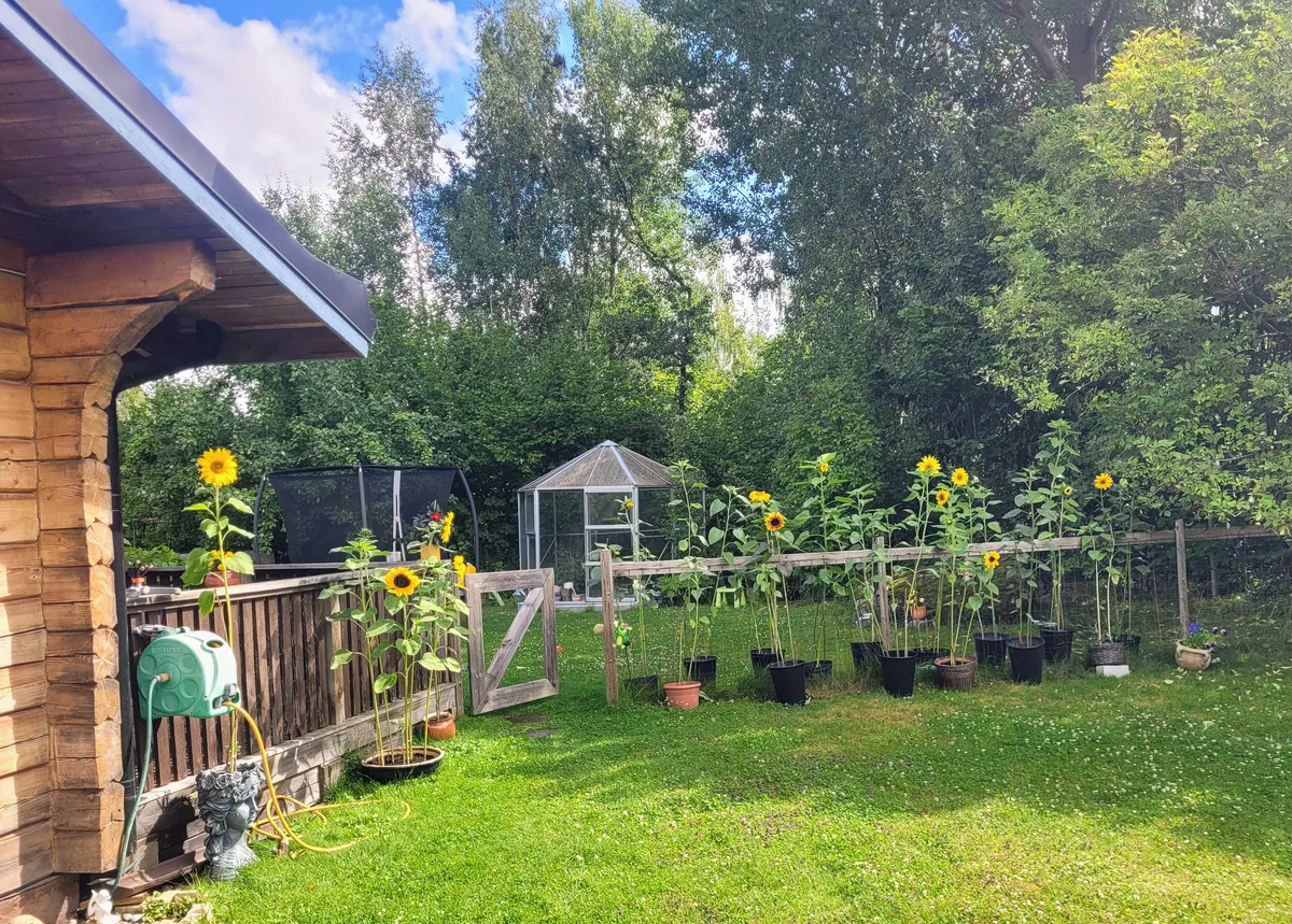 Hyresbostad på Strängnäs i strangnas