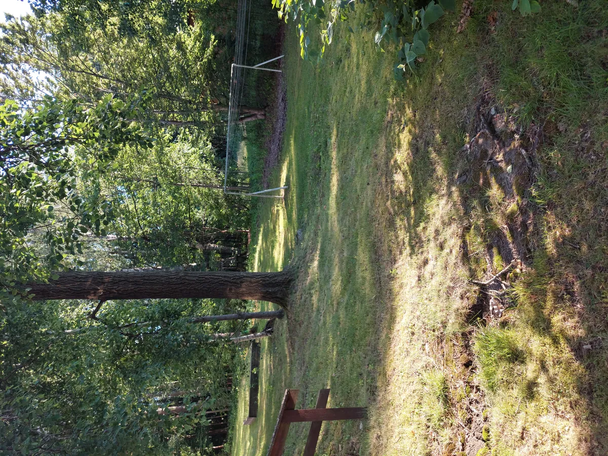 Hyreslägenhet på Espoo i espoo