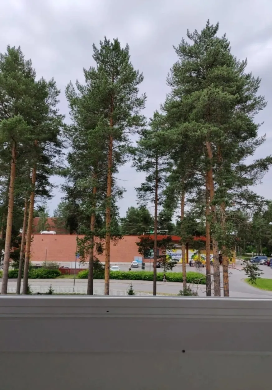 Hyreslägenhet på Oulu i oulu