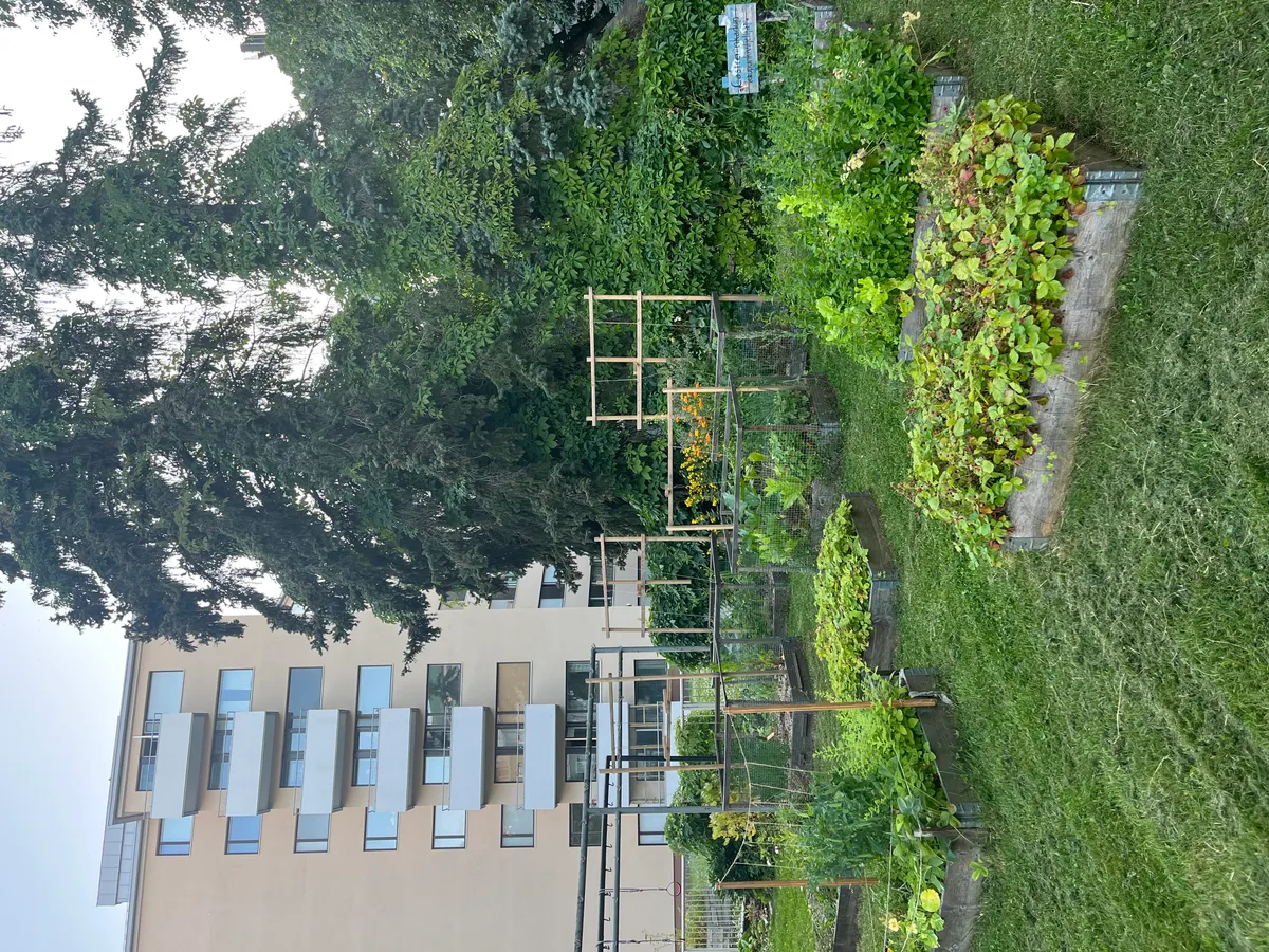 Hyreslägenhet på Helsinki i helsinki