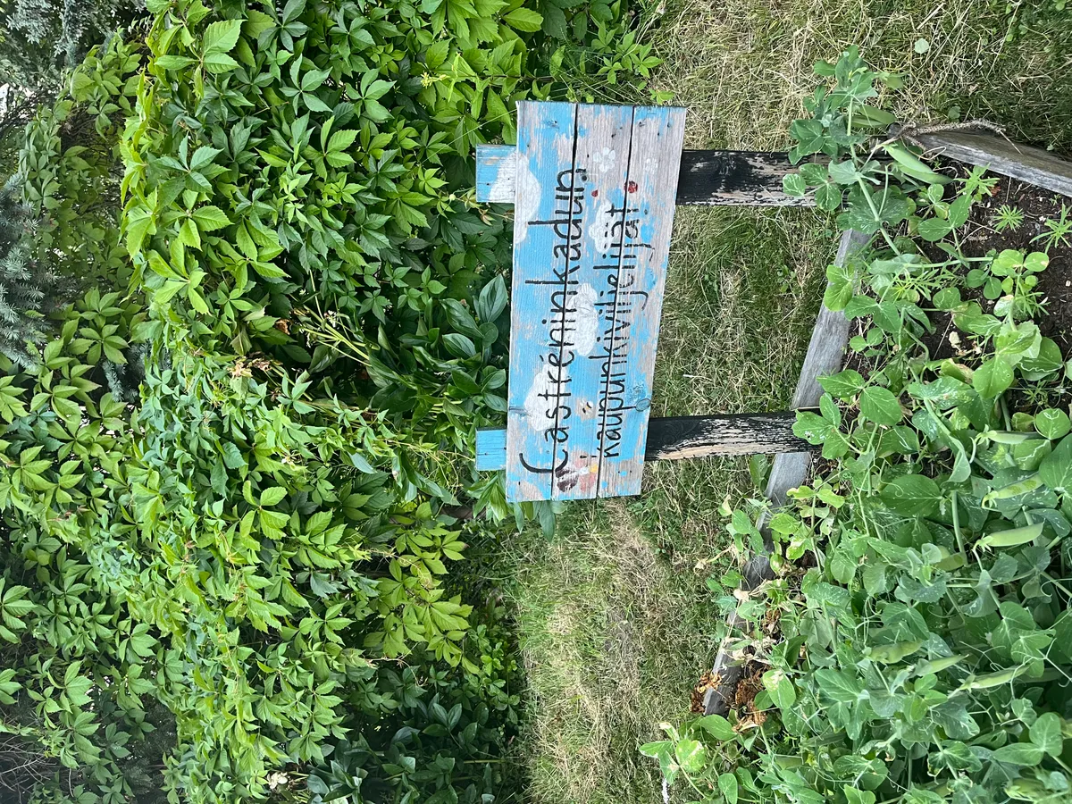 Hyreslägenhet på Helsinki i helsinki