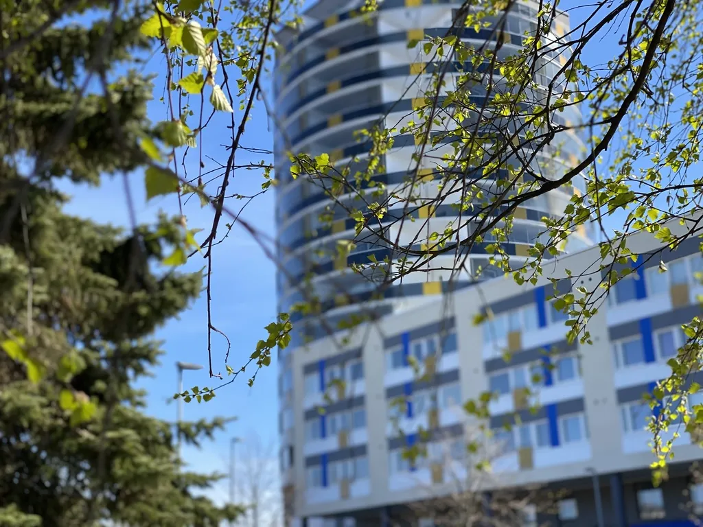 Hyreslägenhet på Oulu i oulu