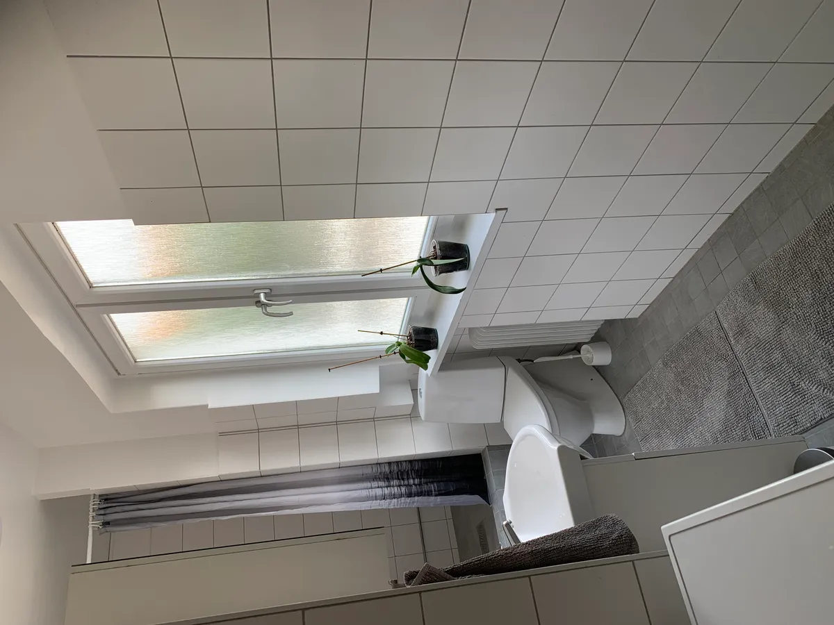 Hyresbostad på Helsingborg i helsingborg
