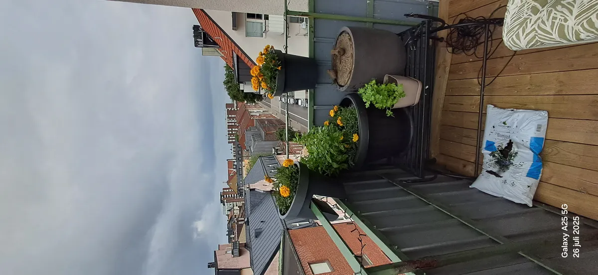 Hyreslägenhet på Helsingborg i helsingborg