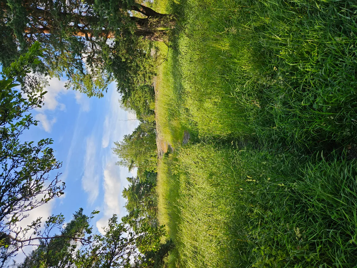Hyreslägenhet på Helsinki i helsinki