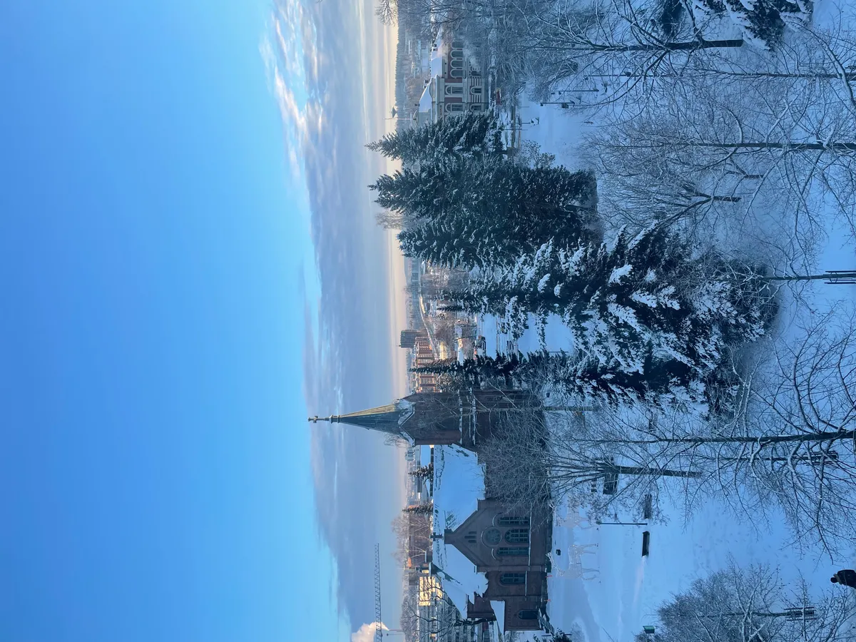 Hyreslägenhet på Jyväskylä i jyvaskyla