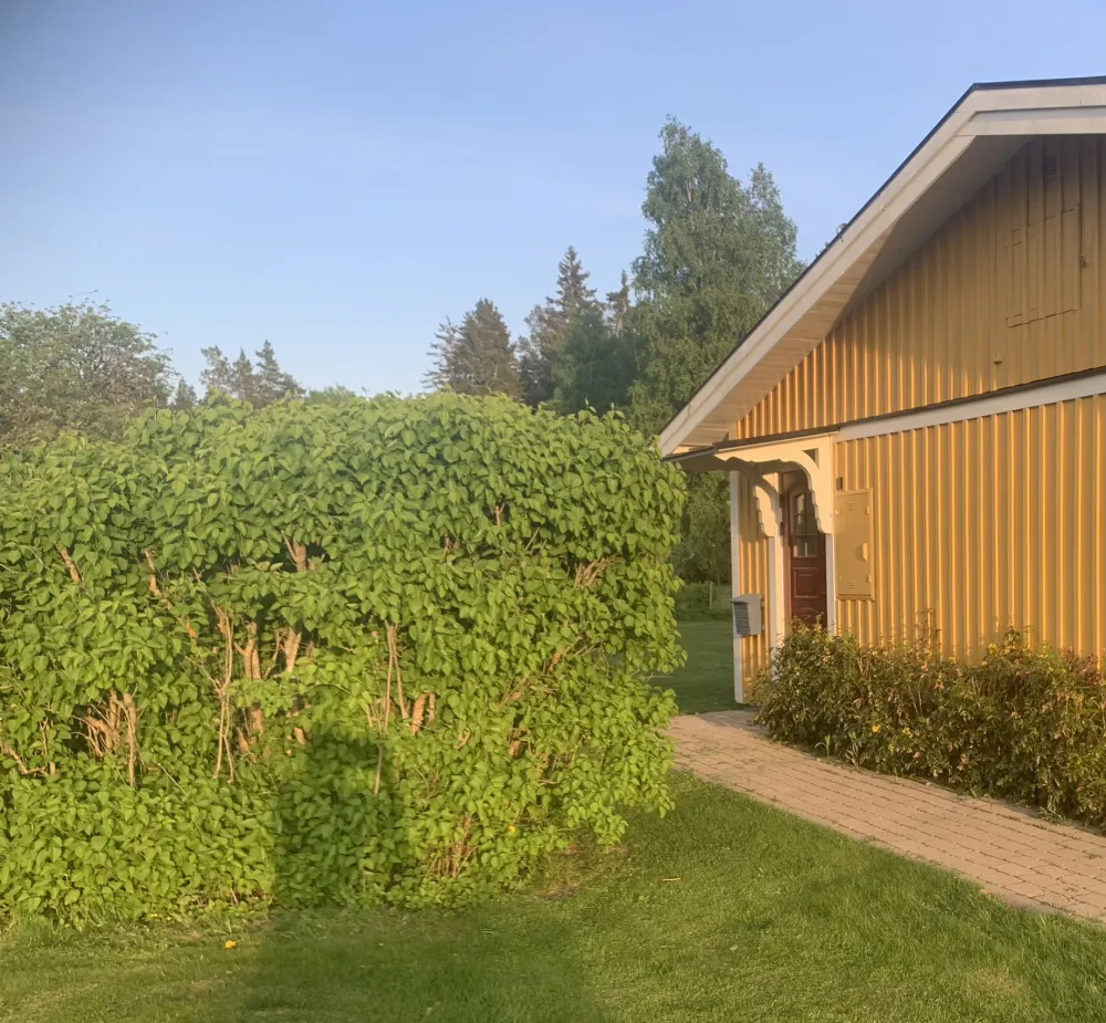 Hyreslägenhet på Uppsala i uppsala