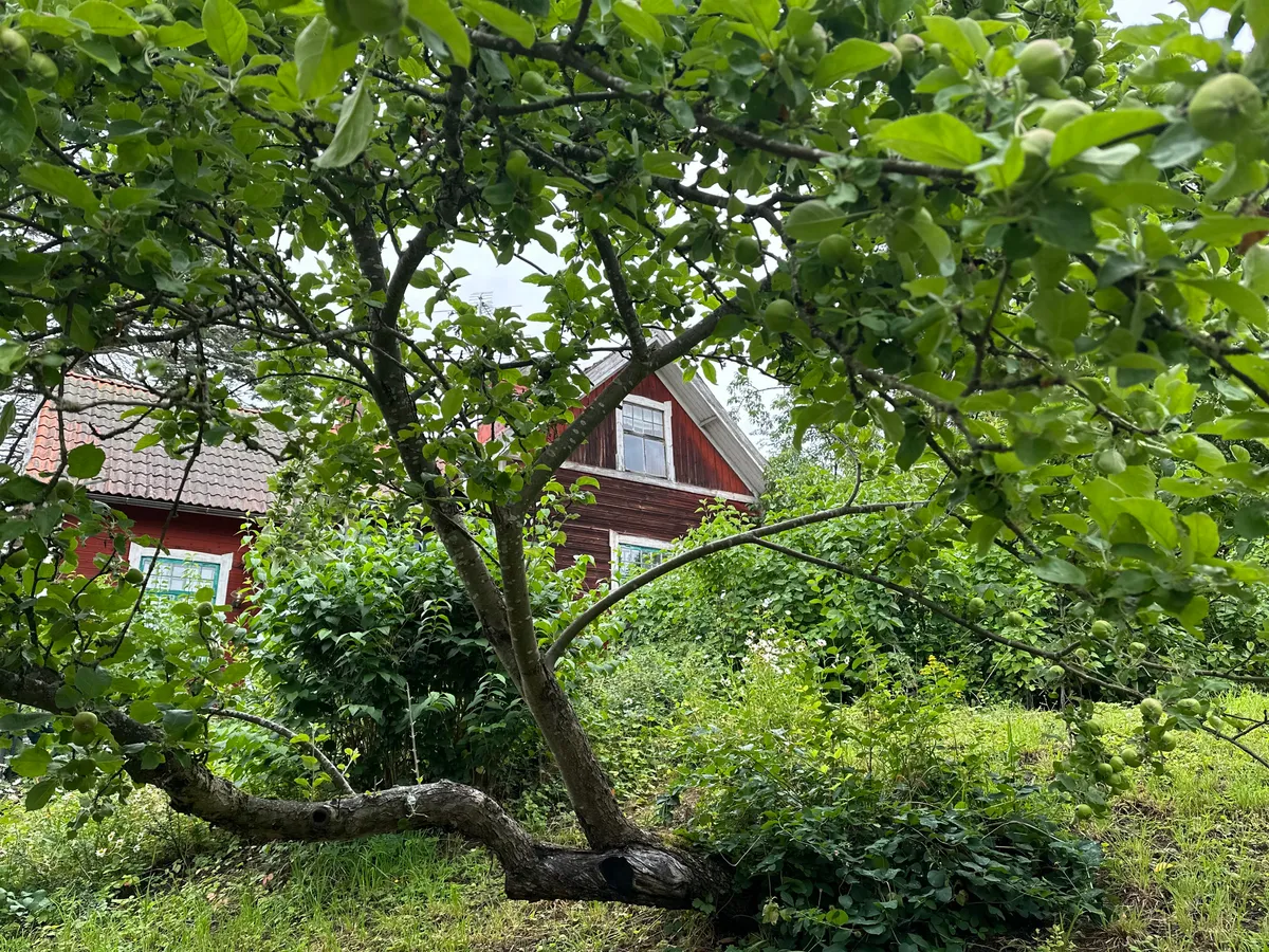 Hyresbostad på Bromma i bromma