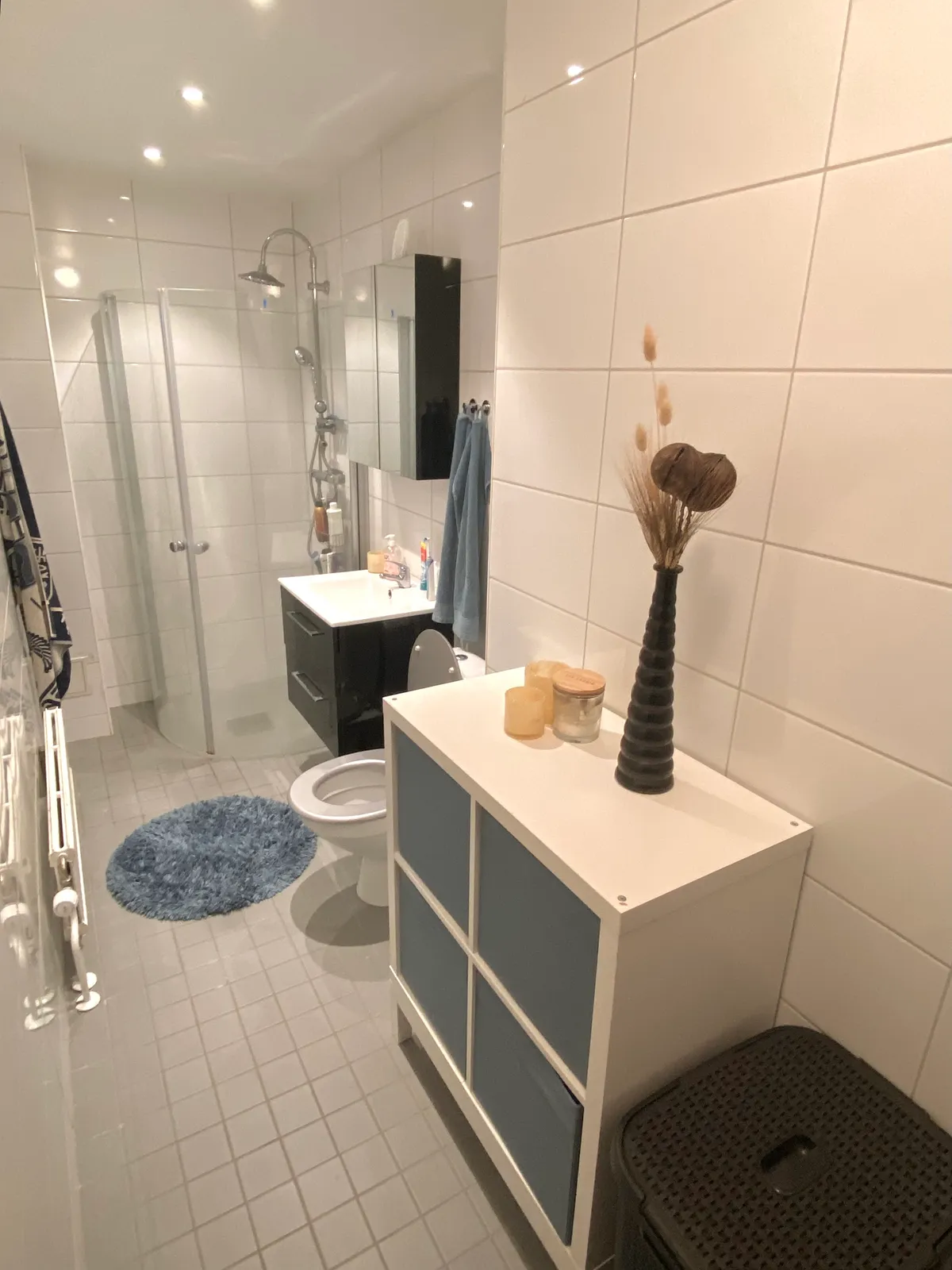 Hyreslägenhet på Landskrona i landskrona