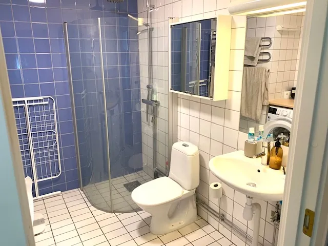 Hyreslägenhet på Helsingborg i helsingborg