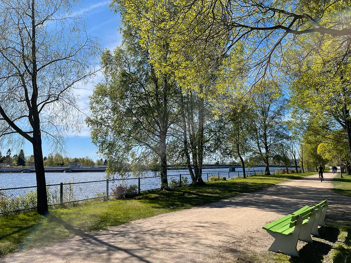 Hyreslägenhet på Oulu i oulu