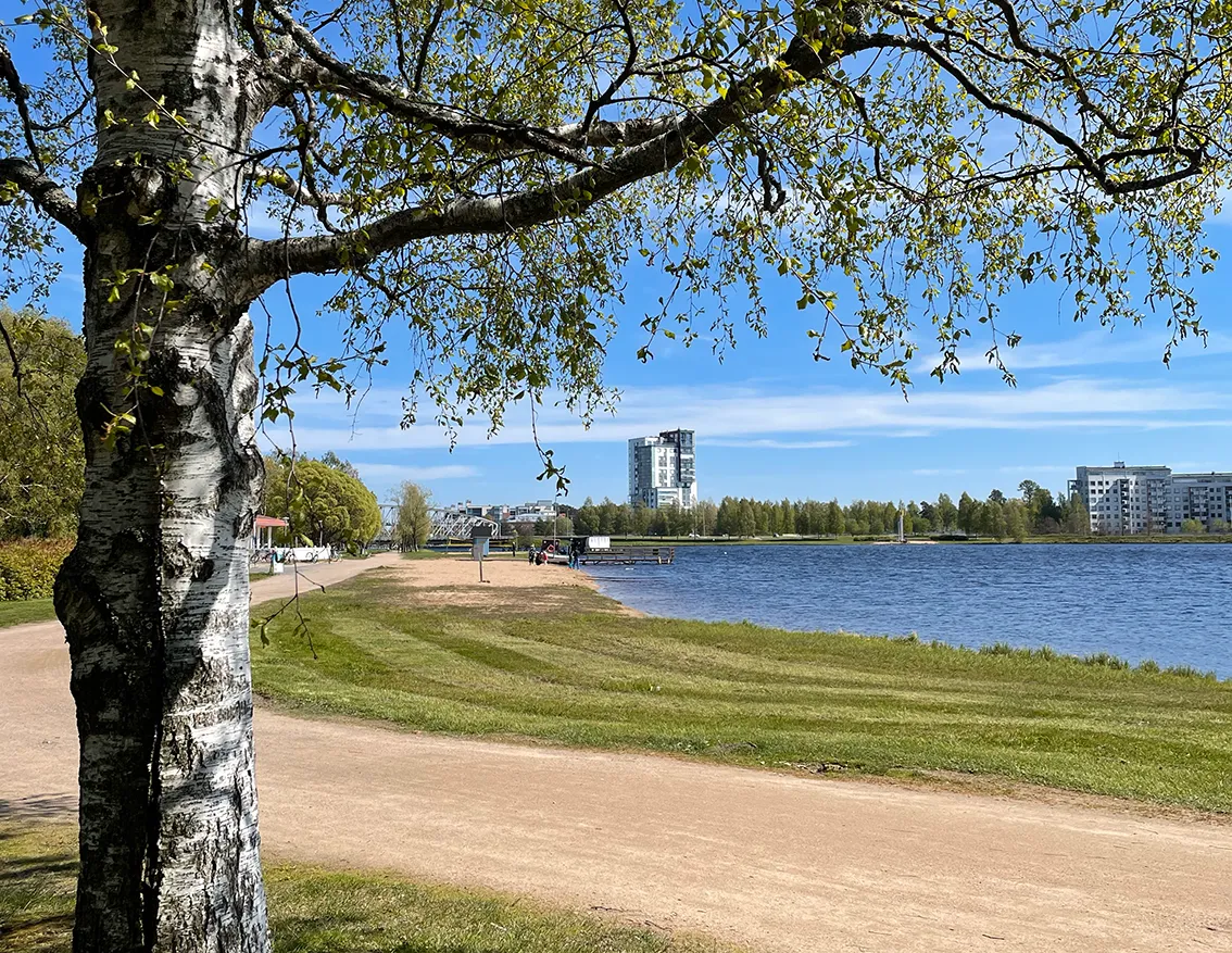 Hyreslägenhet på Oulu i oulu
