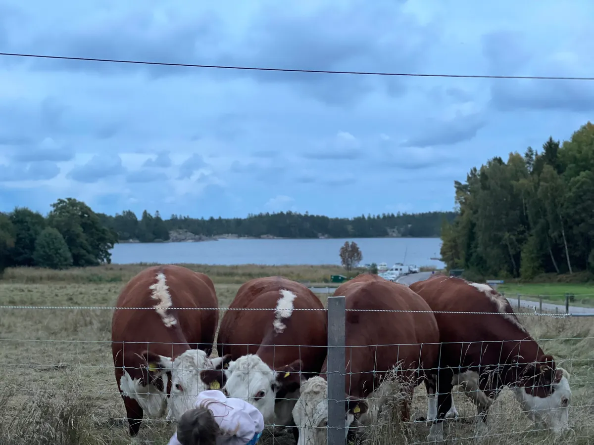 Hyresbostad på Tystberga i tystberga