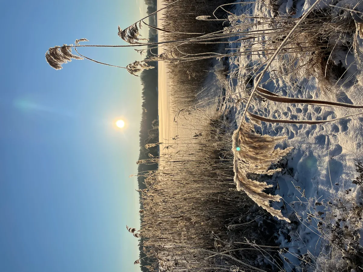 Hyresbostad på Tyresö i tyreso