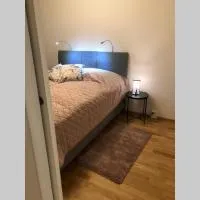 Hyreslägenhet på Oulu i oulu
