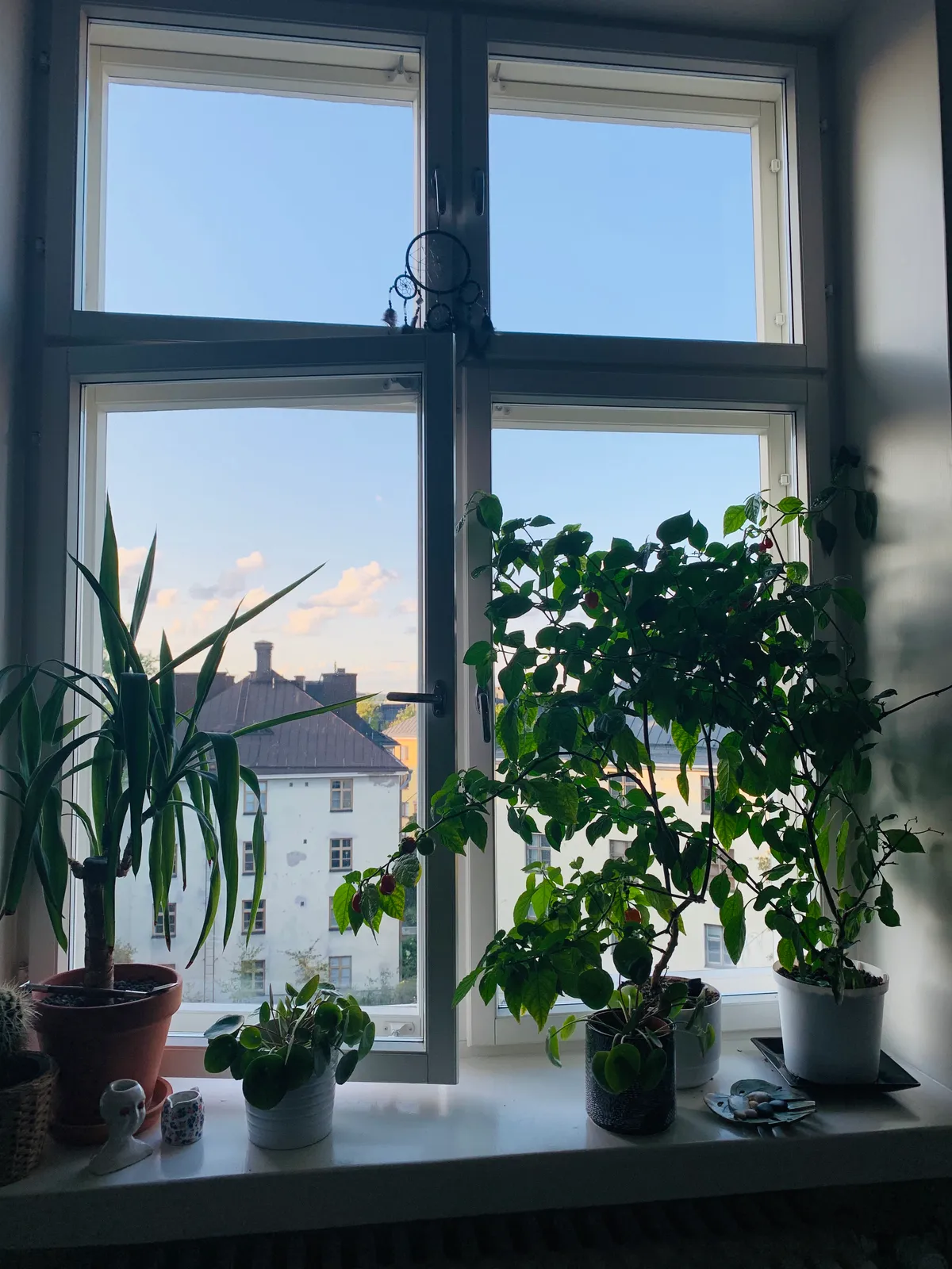 Hyreslägenhet på Helsinki i helsinki