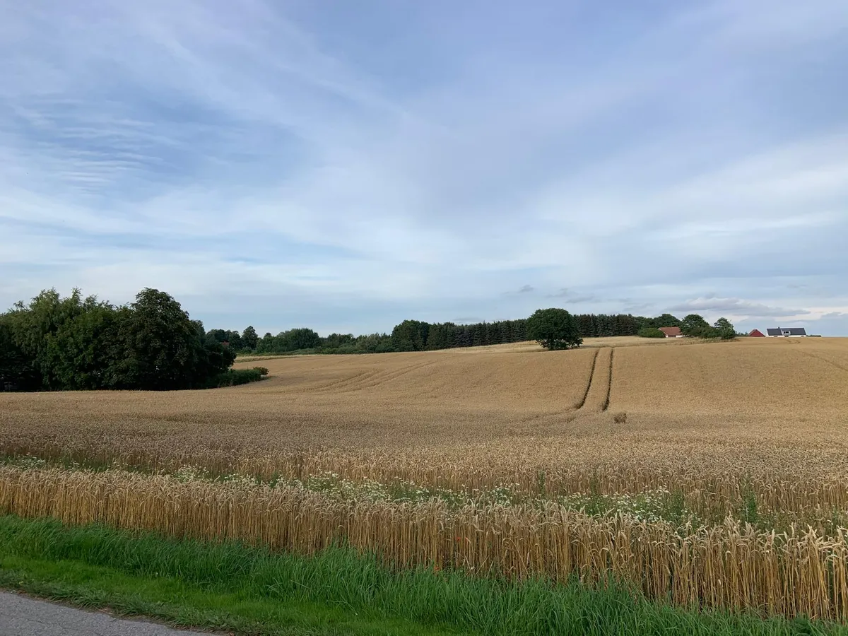 Hyresbostad på Ystad i ystad