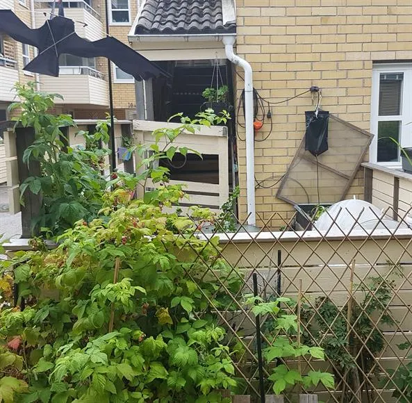 Hyreslägenhet på Täby i taby