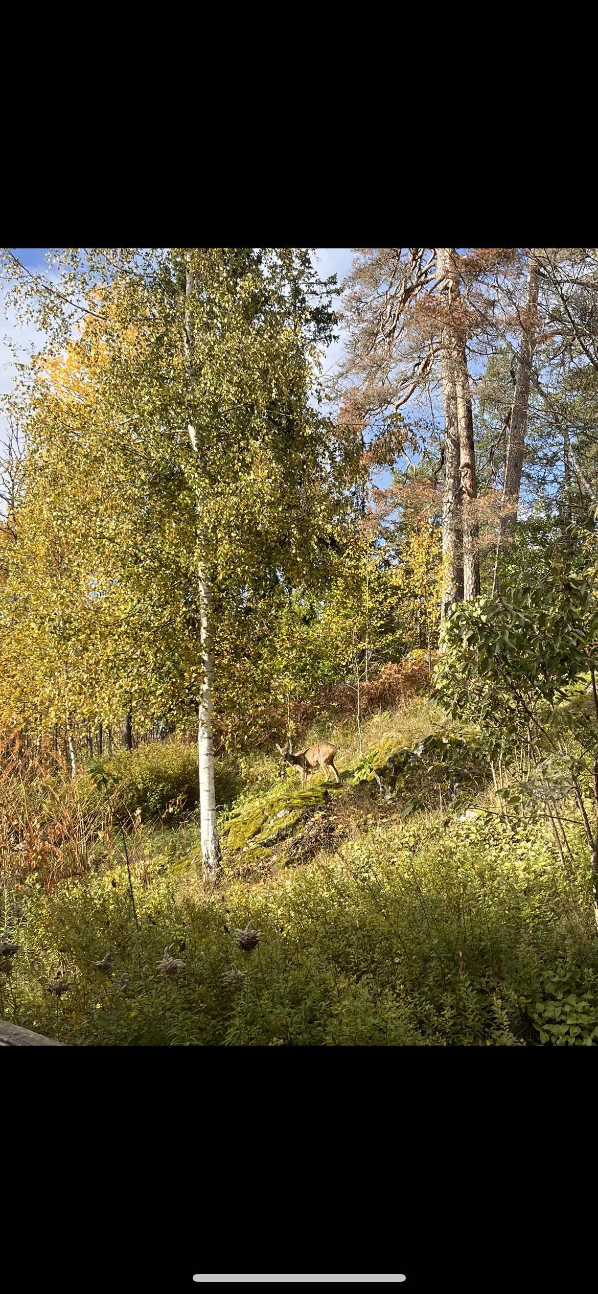 Hyresbostad på Vendelsö i vendelso