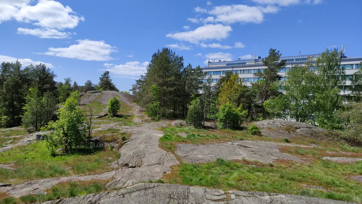 Hyreslägenhet på Helsinki i helsinki