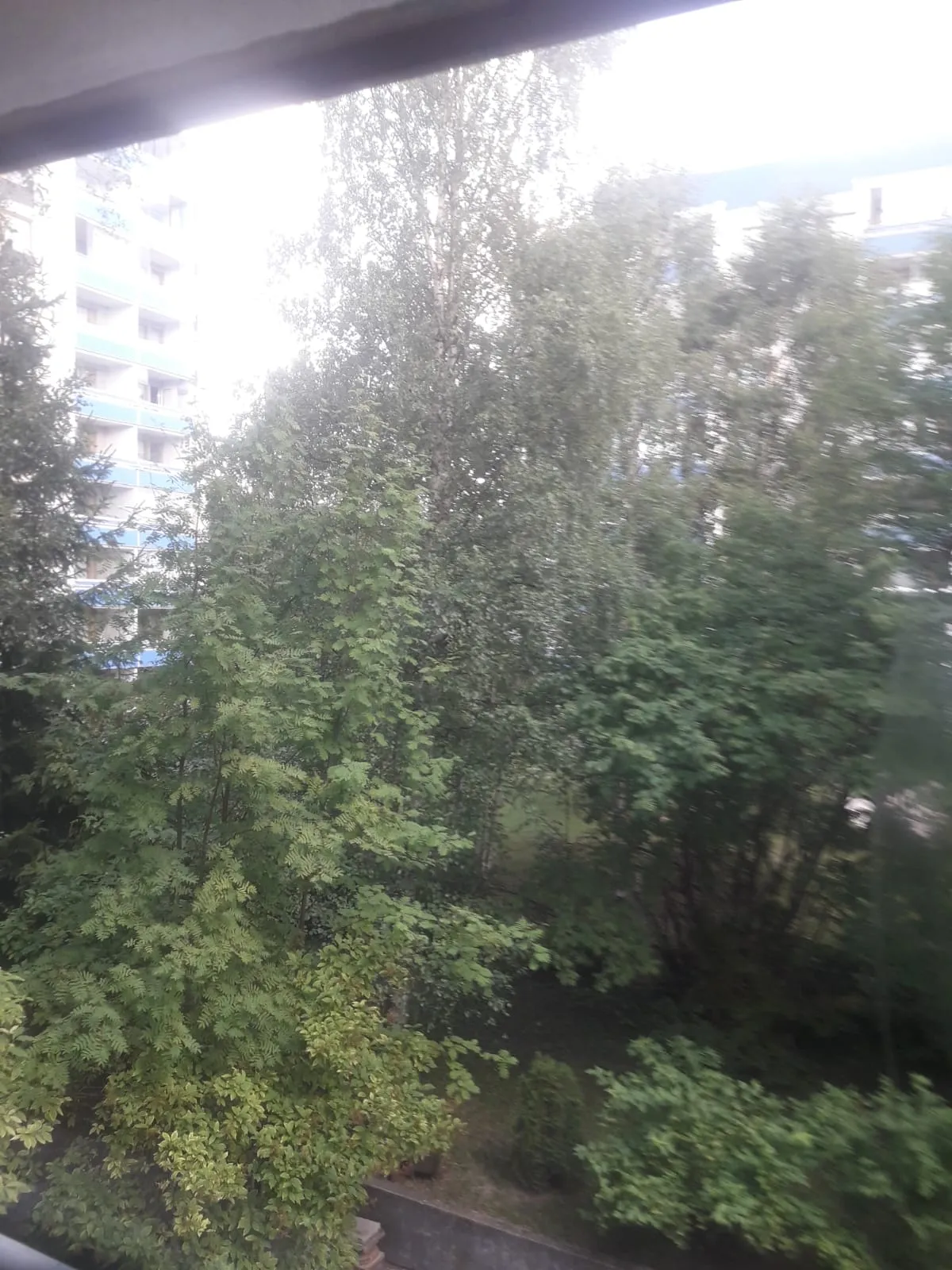 Hyreslägenhet på Oulu i oulu
