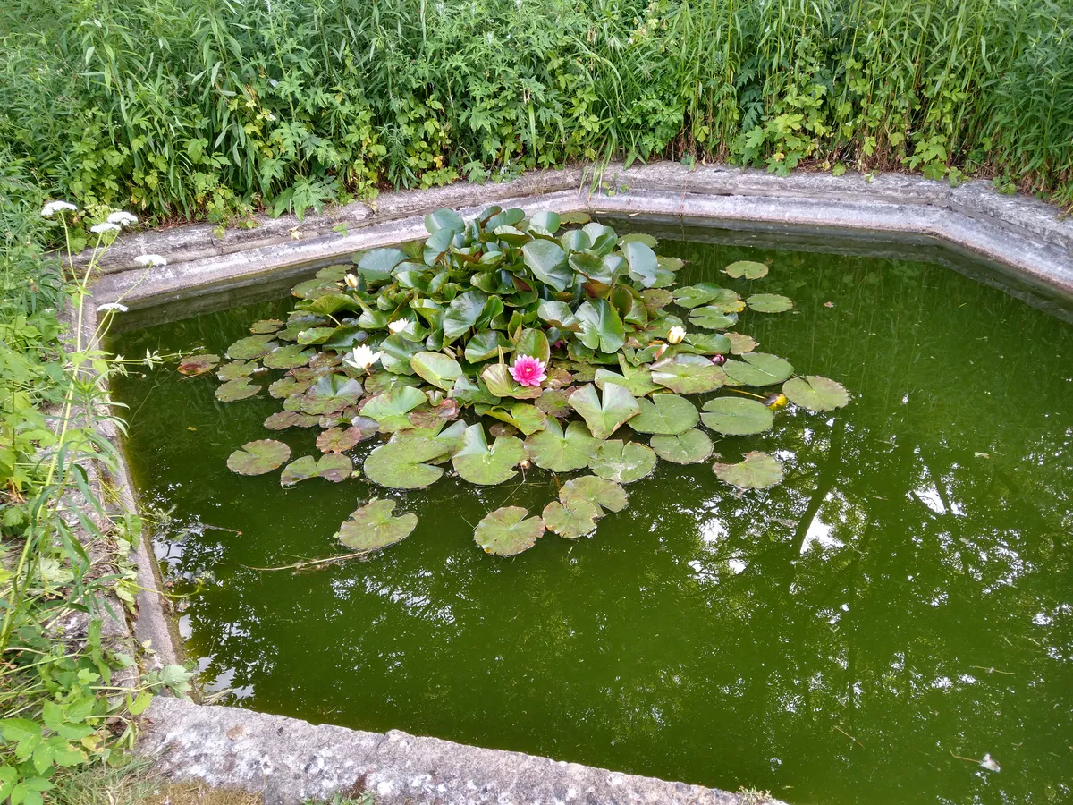 Hyresbostad på Kvidinge i kvidinge