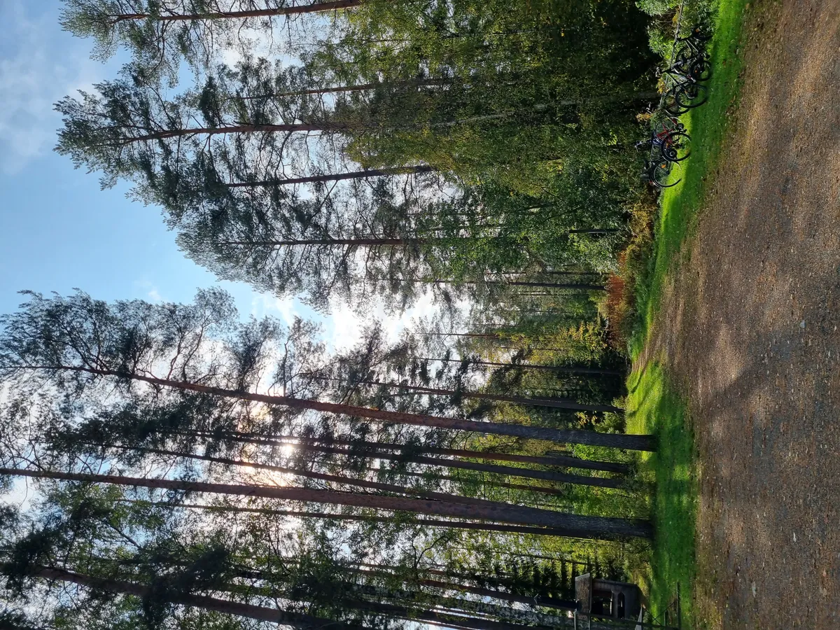 Hyreslägenhet på Jyväskylä i jyvaskyla