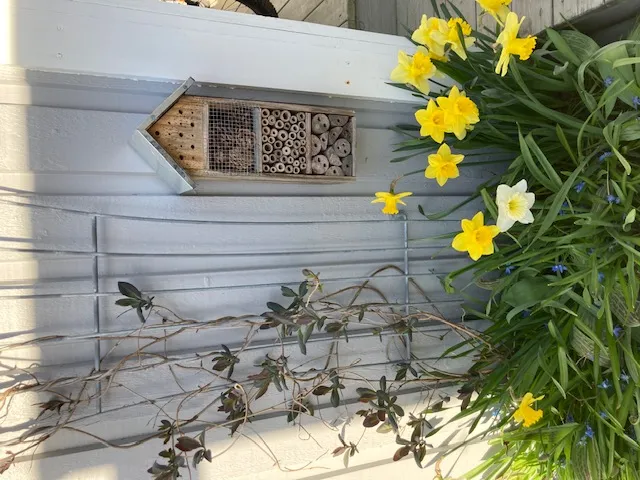 Hyresbostad på Uppsala i uppsala