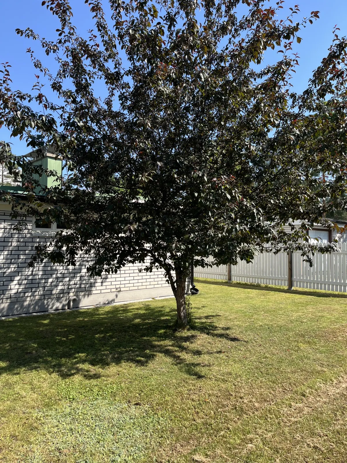 Hyresbostad på Joensuu i joensuu