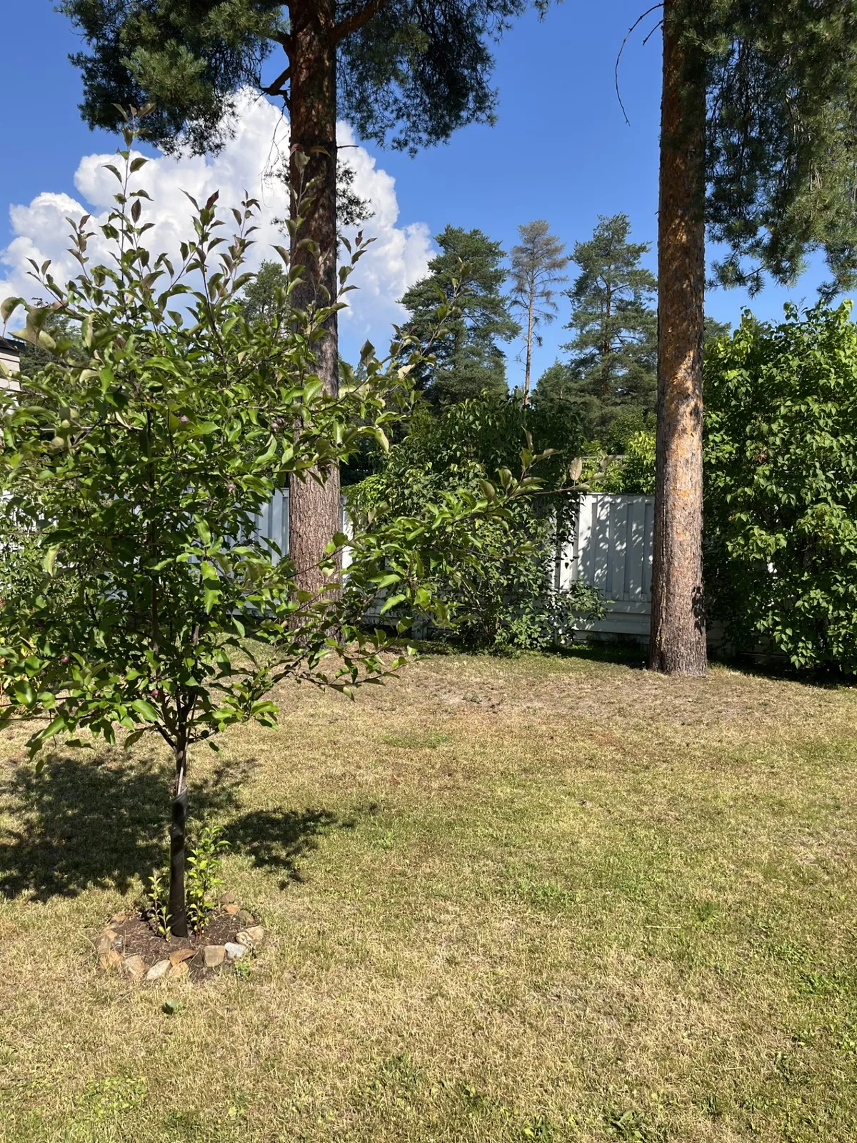 Hyresbostad på Joensuu i joensuu
