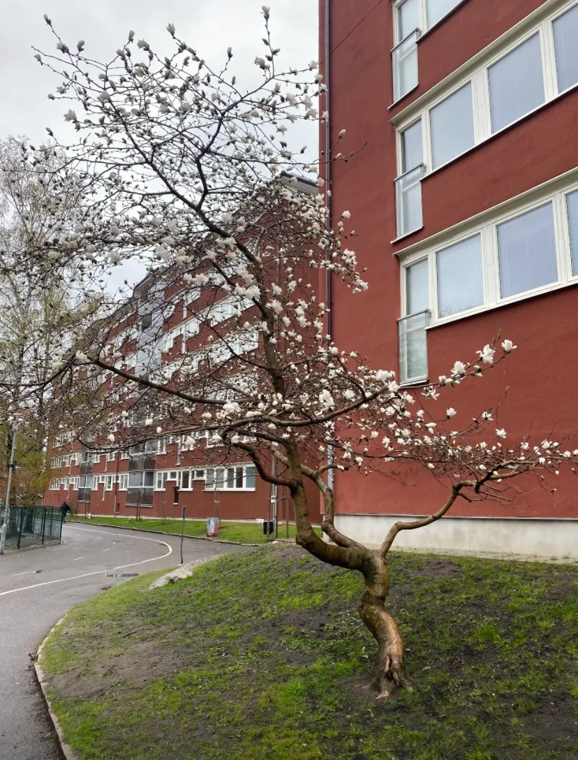 Hyreslägenhet på Göteborg i goteborg
