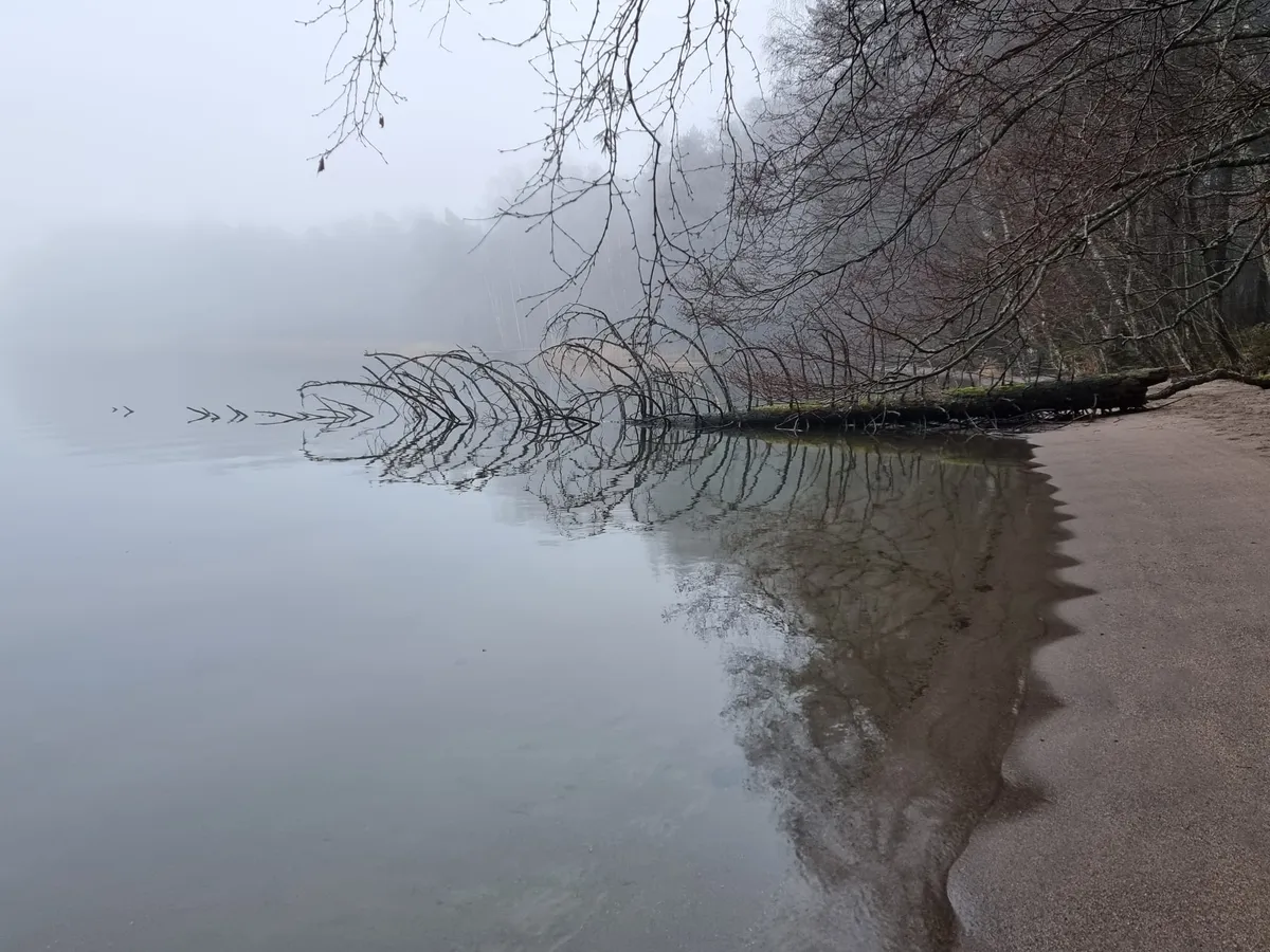 Hyreslägenhet på Helsinki i helsinki