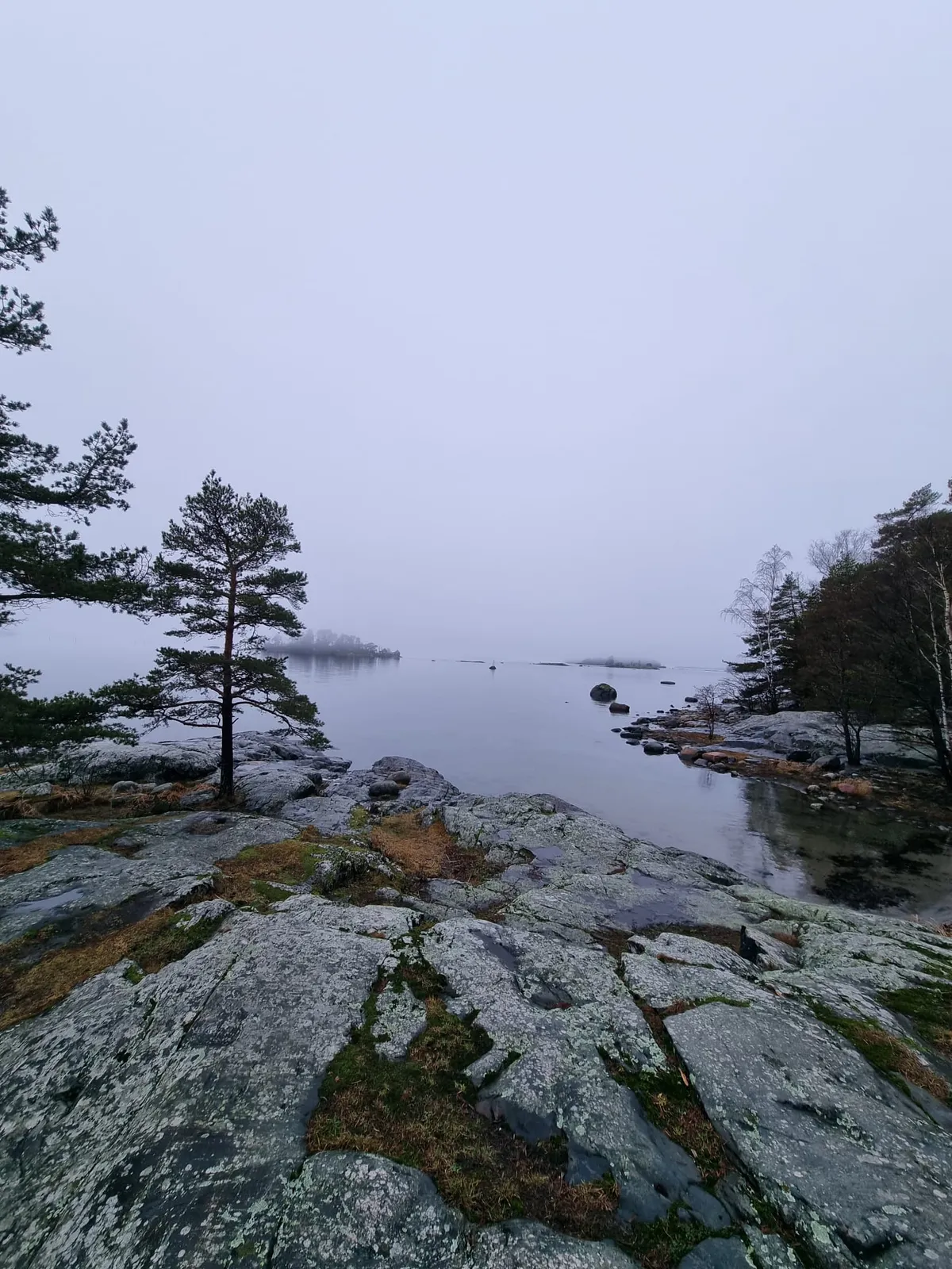 Hyreslägenhet på Helsinki i helsinki