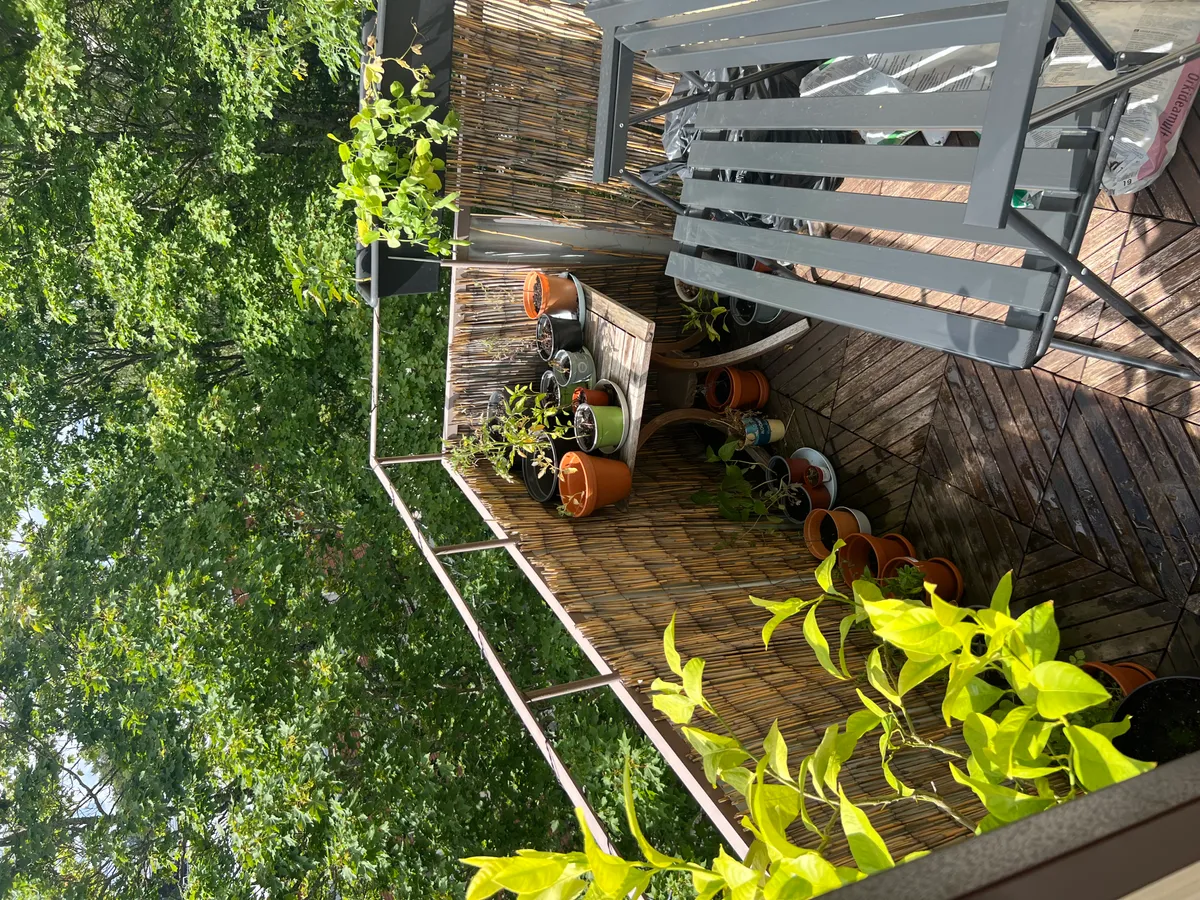 Hyreslägenhet på Helsinki i helsinki