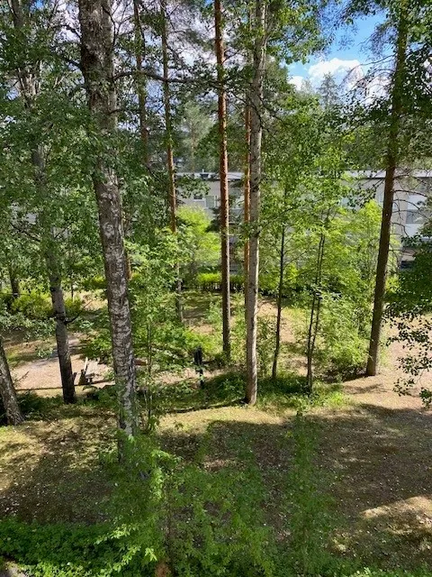Hyreslägenhet på Jyväskylä i jyvaskyla