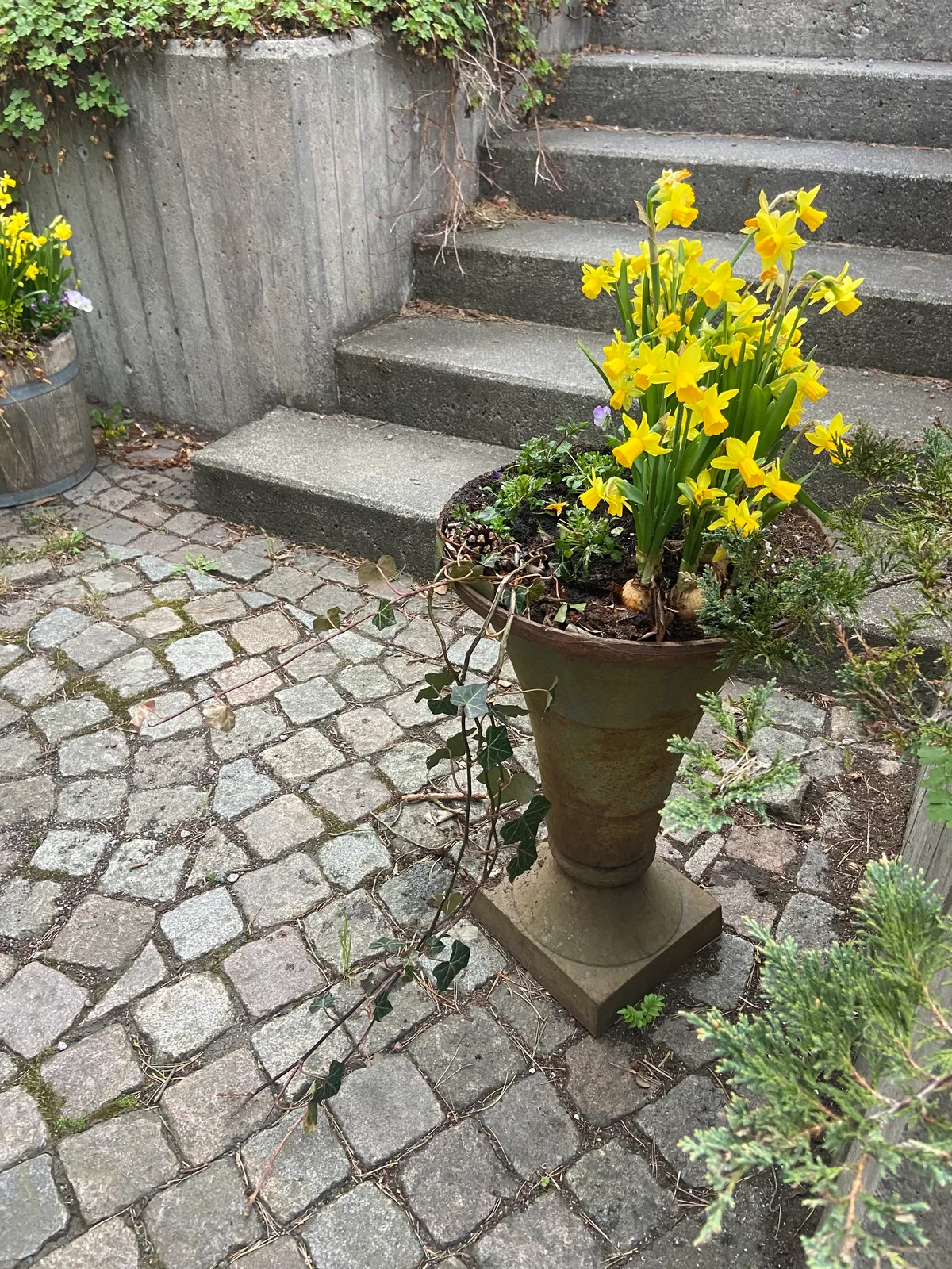 Hyreslägenhet på Lidingö i lidingo