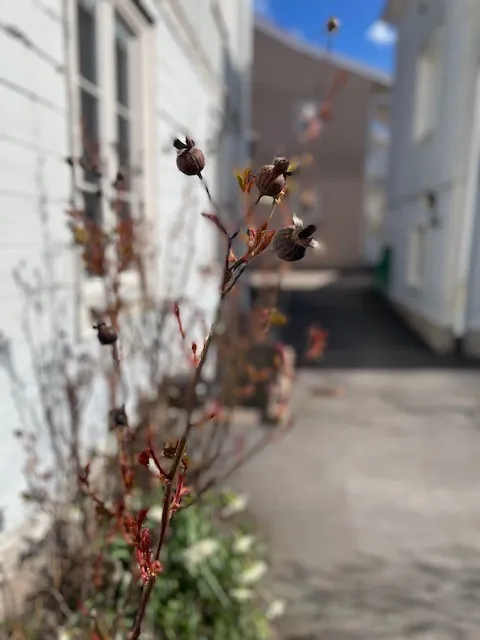 Hyreslägenhet på Oskarshamn i oskarshamn