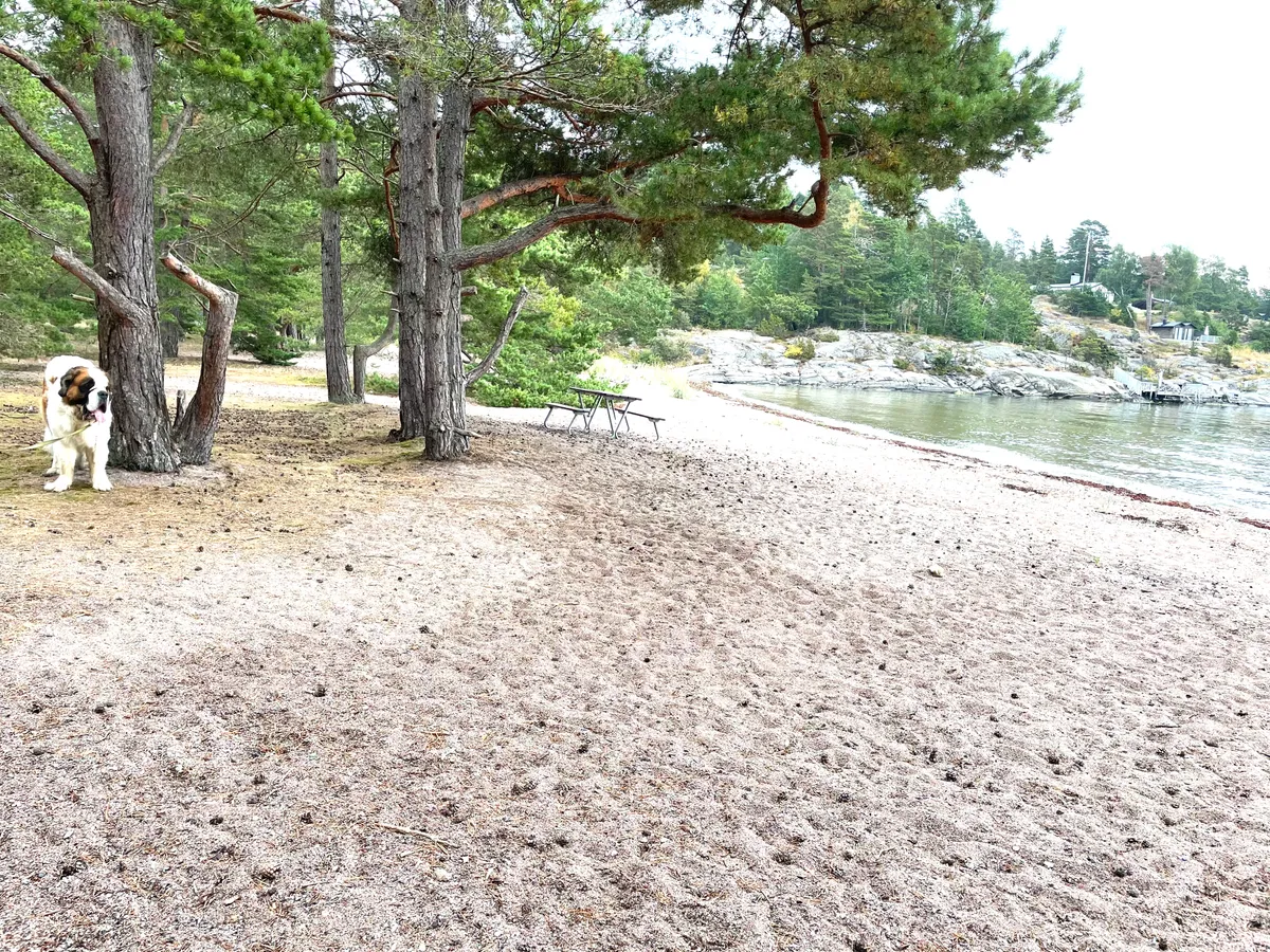 Hyresbostad på Ingarö i ingaro