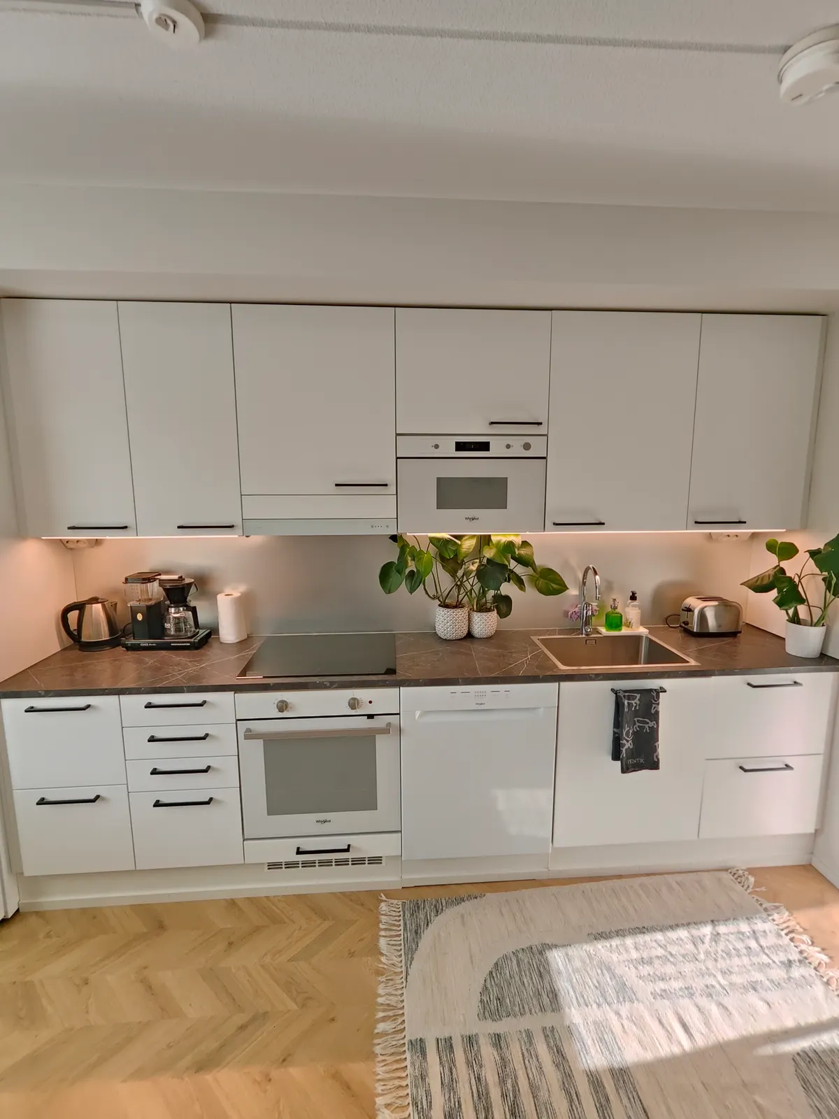 Hyreslägenhet på Helsinki i helsinki