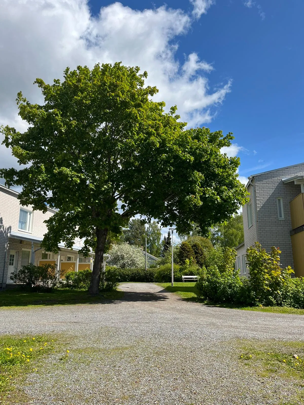 Hyresbostad på Vaasa i vaasa